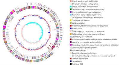 Genomic and biological control of Sclerotinia sclerotiorum using an extracellular extract from Bacillus velezensis 20507